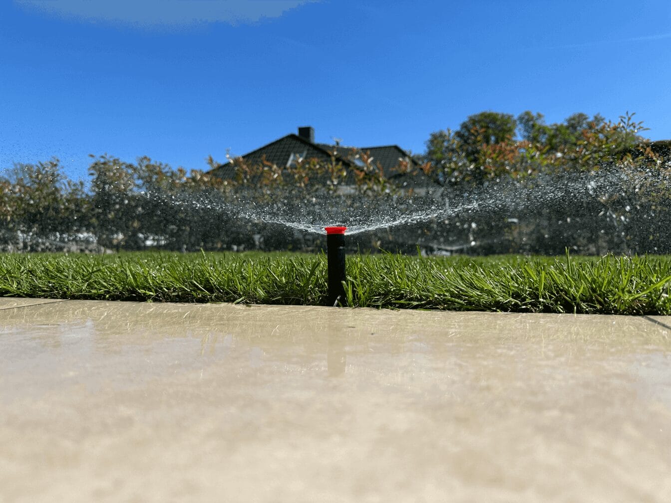 DJI_0020 Kundenbilder2025 IMG 9828 2